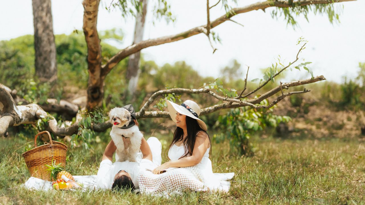 The Art of Drawing Readers In: Your attractive post title goes here A couple enjoys a picnic with their dog in a sunny rural setting. Cozy and natural scene.